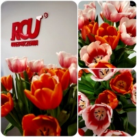 RCU Bieruń